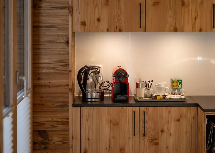 Stadel Alpenstern Mit Wellnessbereich Goms